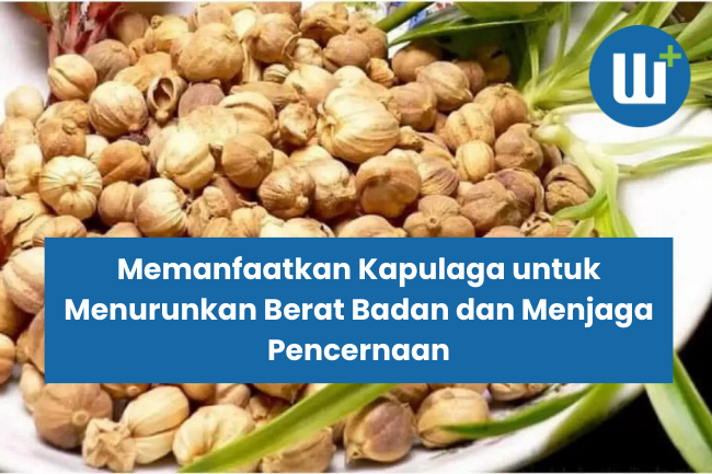 Memanfaatkan Kapulaga untuk Menurunkan Berat Badan dan Menjaga Pencernaan